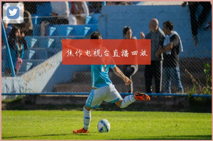 焦作电视台直播回放
