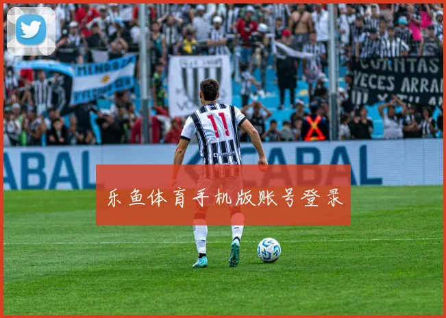 乐鱼体育手机版账号登录