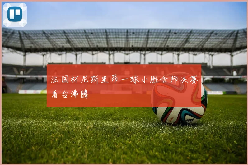 法国杯尼斯里昂一球小胜会师决赛看台沸腾
