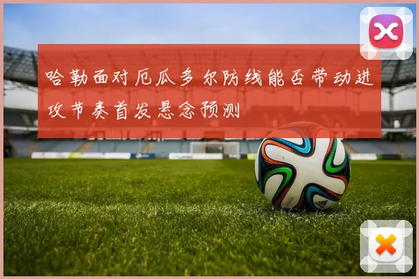 哈勒面对厄瓜多尔防线能否带动进攻节奏首发悬念预测