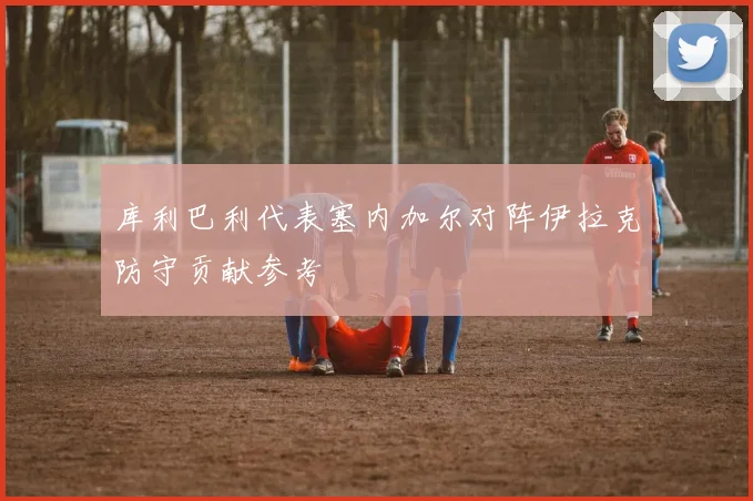 库利巴利代表塞内加尔对阵伊拉克防守贡献参考