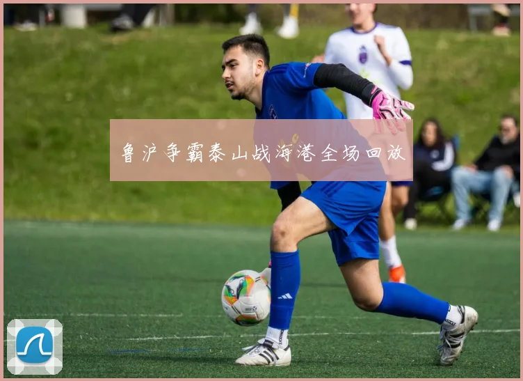 鲁沪争霸泰山战海港全场回放