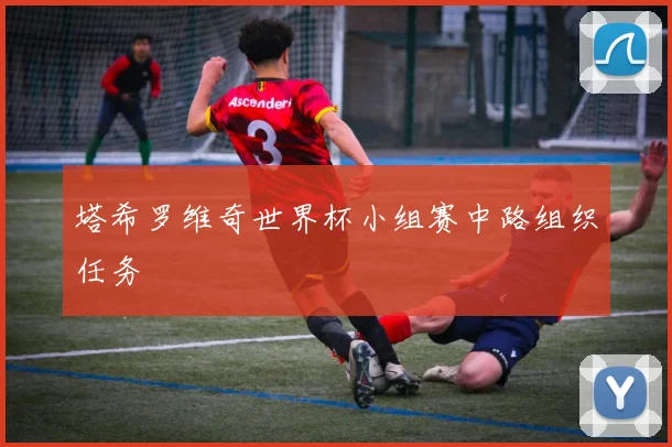 塔希罗维奇世界杯小组赛中路组织任务