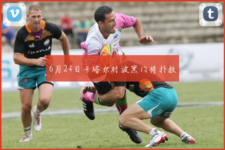6月24日卡塔尔对波黑门将扑救