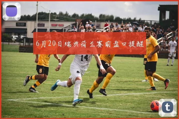 6月20日瑞典荷兰赛前盘口提醒