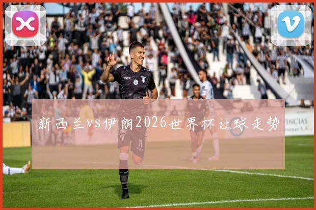 新西兰vs伊朗2026世界杯让球走势