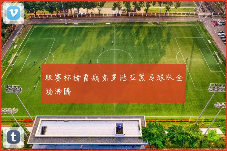 联赛杯榜首战克罗地亚黑马球队全场沸腾