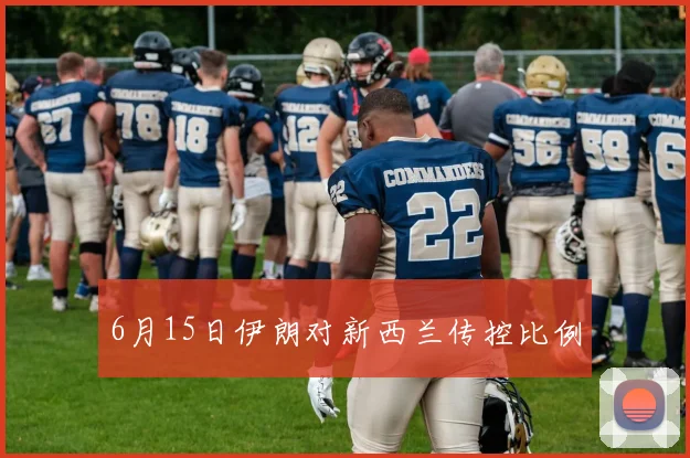 6月15日伊朗对新西兰传控比例