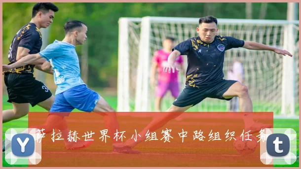 萨拉赫世界杯小组赛中路组织任务