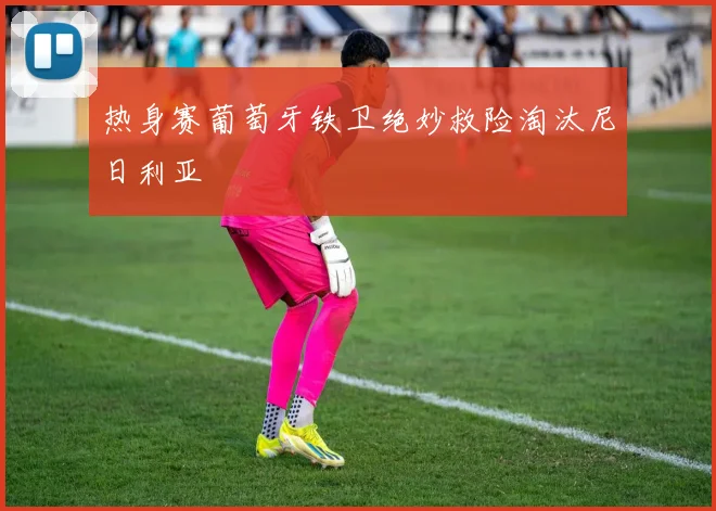 热身赛葡萄牙铁卫绝妙救险淘汰尼日利亚
